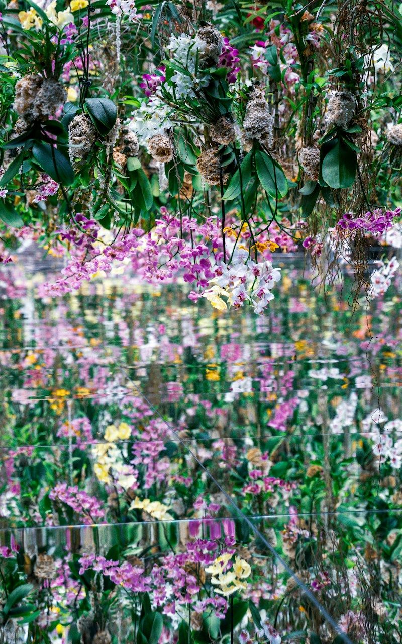 teamLab Planets